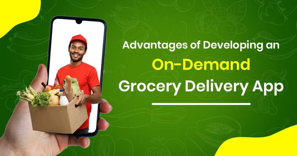 Grocery Delivery Business Plan Strategies & Challenges