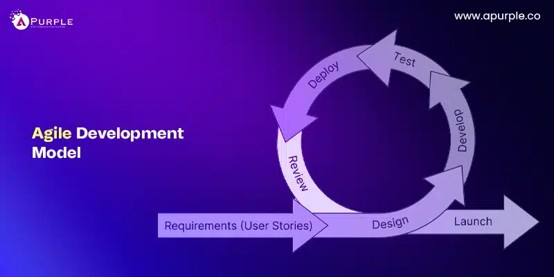 agile development model
