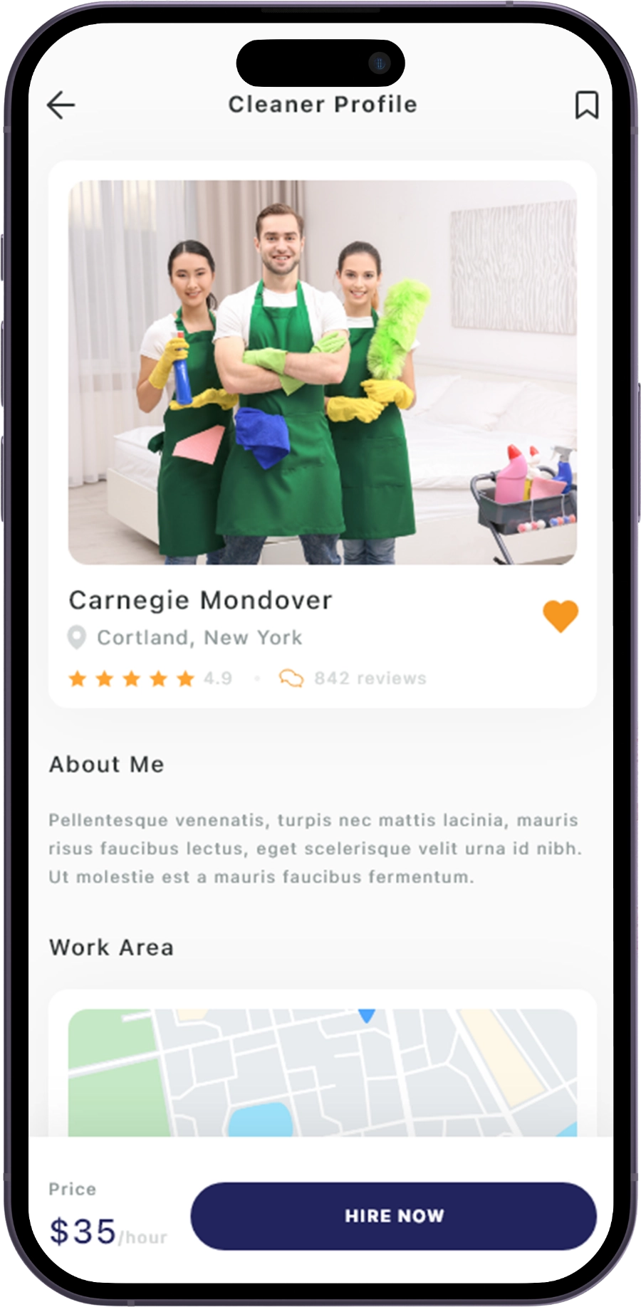 handyman clone user features