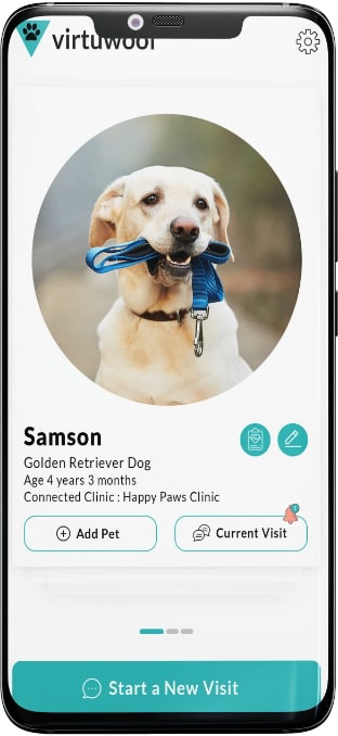 Veterinary Telemedicine App Screen 2