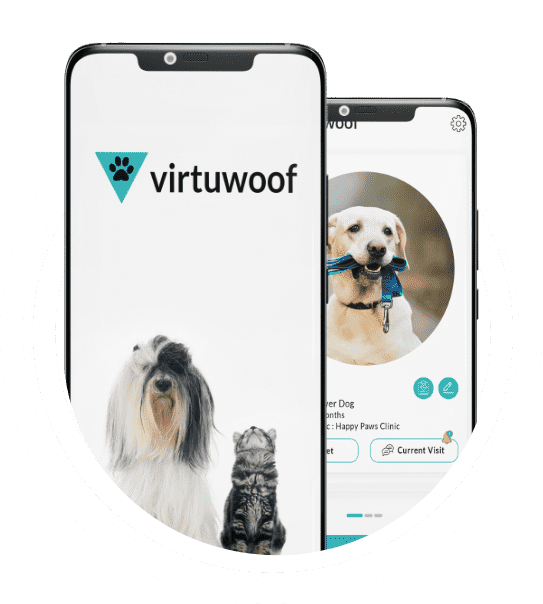 veterinary telemedicine app