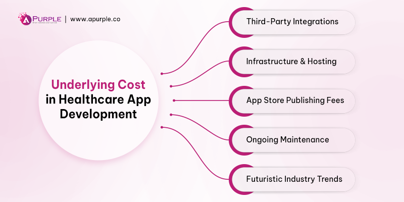 hidden costs of developing healthare application